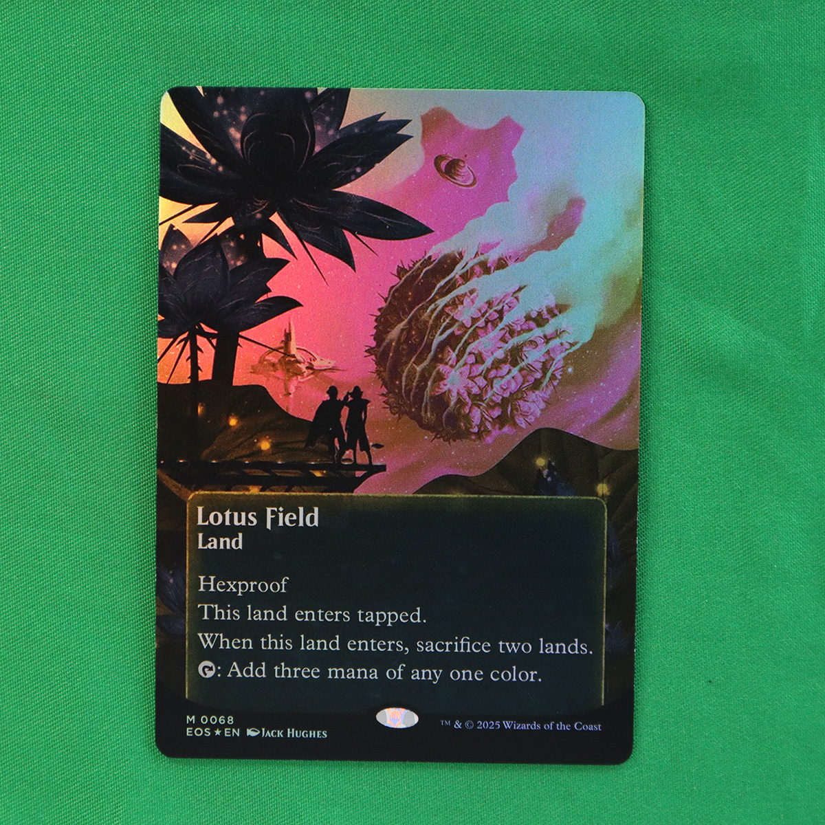 FG063 Lotus Field #68